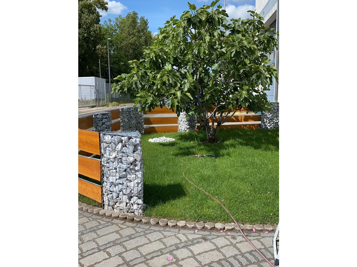 Holiday apartment Crecelius - Outdoor photo 4