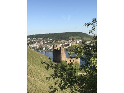 Holiday apartment Crecelius - Environment photo 18