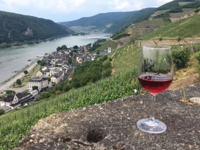 Holiday apartment Crecelius - Environment photo 20