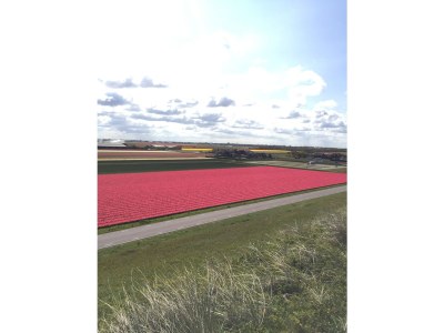 Apartment Strandvreugde - Environment photo 21