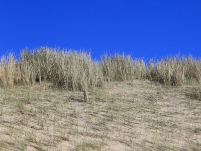 Apartment Strandvreugde - Environment photo 22