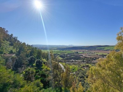 Holiday house Private Pool Cottage Viñuela - Environment photo 32