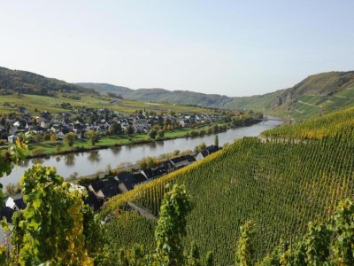 Apartment Romantischer Aufenthalt mit Blick auf den Weinberg - Environment photo 20