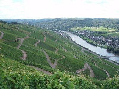 Apartment Romantischer Aufenthalt mit Blick auf den Weinberg - Environment photo 23