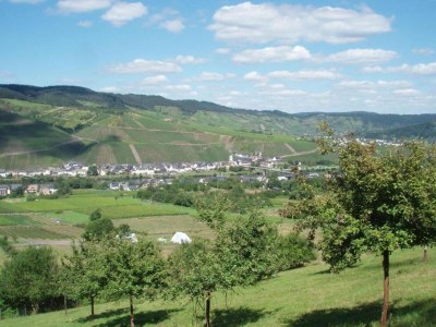 Apartment Romantischer Aufenthalt mit Blick auf den Weinberg - Environment photo 25