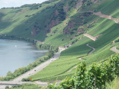 Apartment Romantischer Aufenthalt mit Blick auf den Weinberg - Environment photo 29