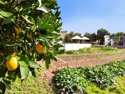 Villa Holiday Home in Ingenio with Private Pool - Environment photo 30