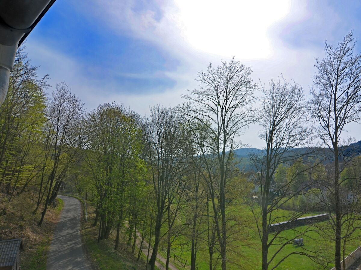 Holiday house Villa mit Sauna in Liesen - Outdoor photo 5