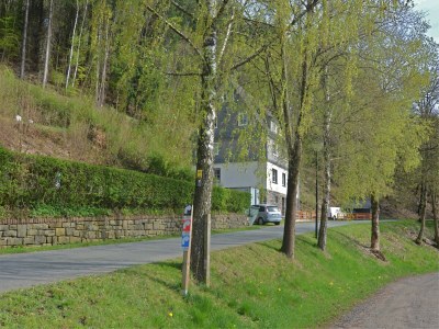 Holiday house Villa mit Sauna in Liesen - Outdoor photo 4