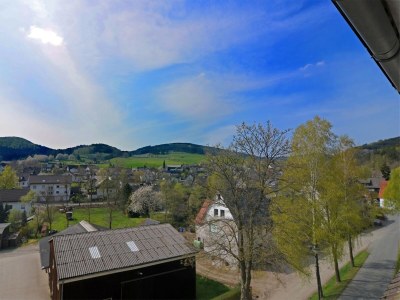 Holiday house Villa mit Sauna in Liesen - Outdoor photo 6