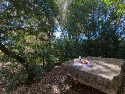 Villa Son Julià - Outdoor photo 10