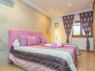 Finca Miralles - Features photo 40