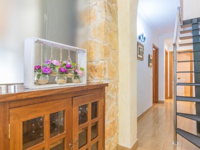 Finca Miralles - Features photo 50