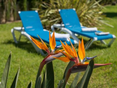 Chalet Can Blau - Outdoor photo 18