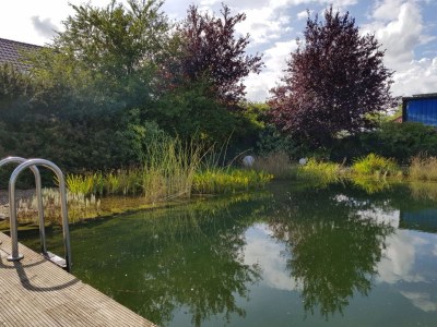 Holiday house Haus Annelie - Outdoor photo 6