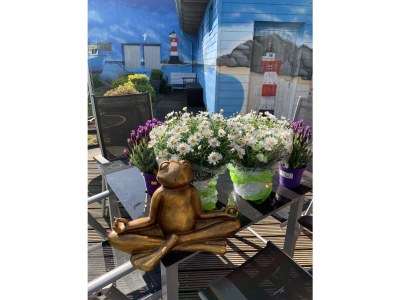 Holiday house Haus Annelie - Outdoor photo 13