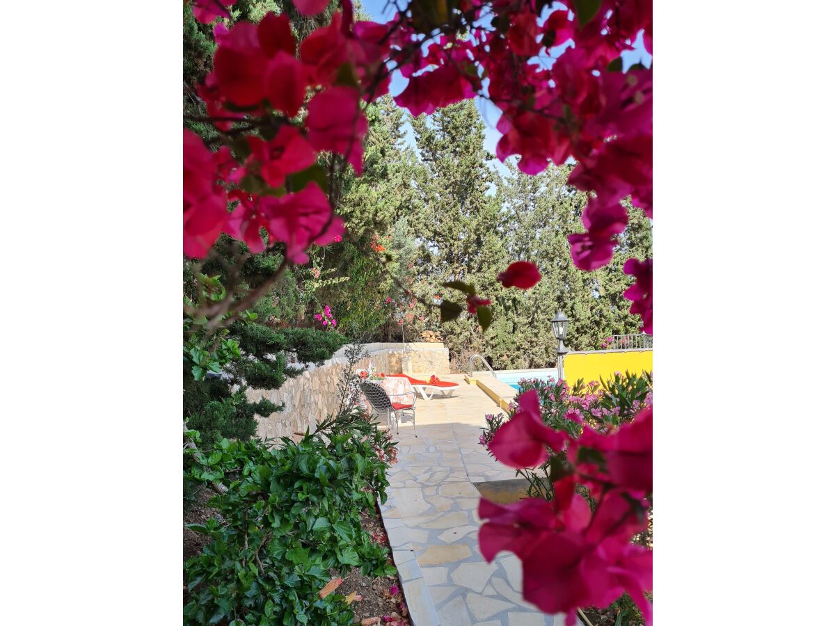 Holiday house Casa Santo - Outdoor photo 5