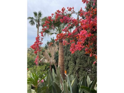 Holiday house Casa Santo - Outdoor photo 27