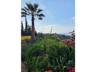 Holiday house Casa Santo - Outdoor photo 28