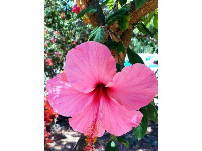 Holiday house Casa Santo - Outdoor photo 29