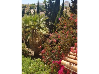 Holiday house Casa Santo - Outdoor photo 30