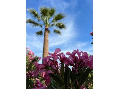 Holiday house Casa Santo - Outdoor photo 31