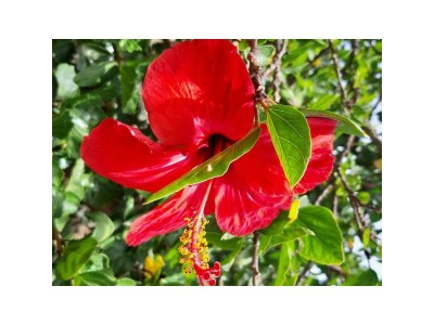 Holiday house Casa Santo - Outdoor photo 33