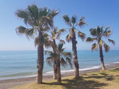 Holiday house Casa Santo - Environment photo 63