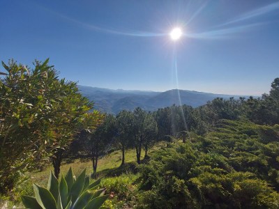 Holiday house Casa Santo - Environment photo 67