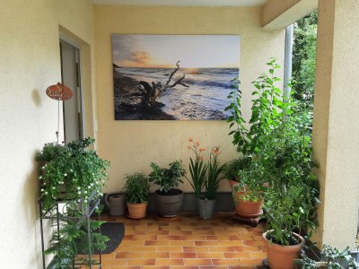 Holiday apartment centrally located - Outdoor photo 3