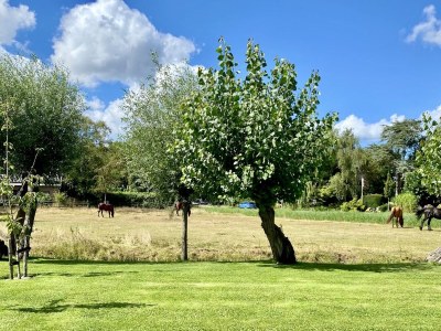 Holiday house Farmhouse Bergen - Outdoor photo 14