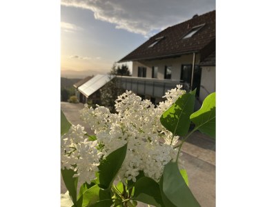 Holiday apartment Sichtglück - Outdoor photo 2