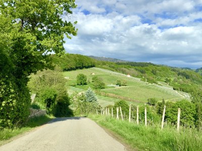 Holiday apartment Sichtglück - Environment photo 35