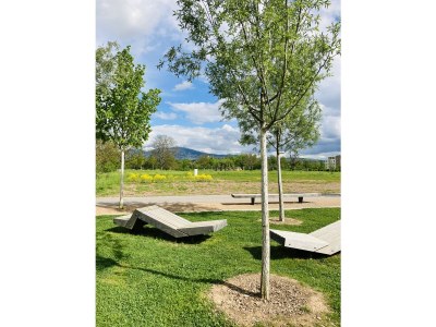 Holiday apartment Sichtglück - Environment photo 40