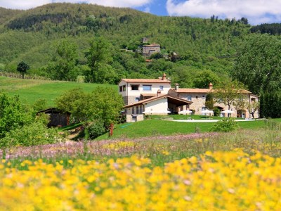 Holiday house Casale Gressa - Outdoor photo 10