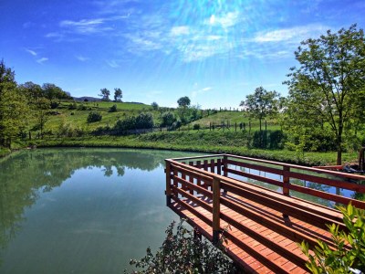 Holiday house Casale Gressa - Outdoor photo 12