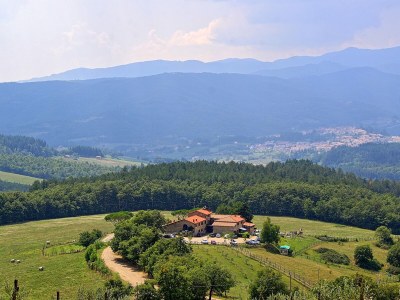 Holiday house Podere Casentino - Outdoor photo 9