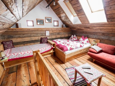 Alpine hut French Cottage - Features photo 13