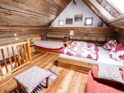 Alpine hut French Cottage - Features photo 14