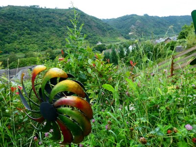 Holiday apartment Ferienhaus Weitblick - Outdoor photo 10