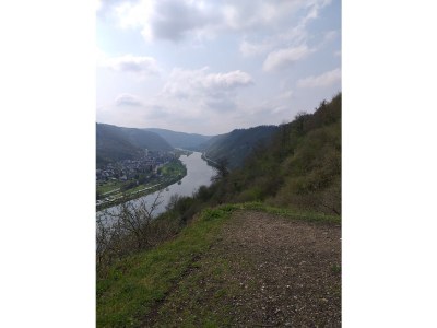 Holiday apartment Ferienhaus Weitblick - Environment photo 33