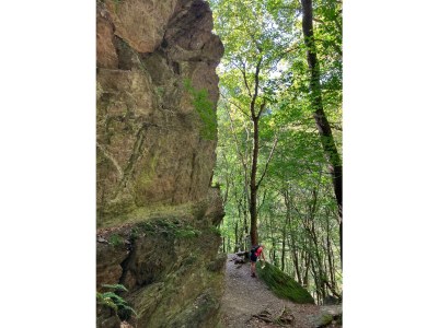 Holiday apartment Ferienhaus Weitblick - Environment photo 40