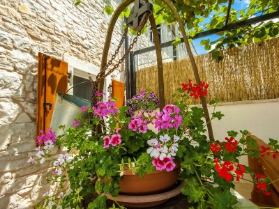 Villa Ivka - Outdoor photo 12