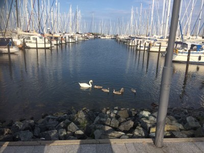 Holiday apartment Boller - Environment photo 23