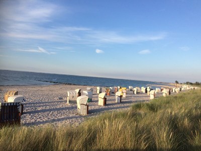 Holiday apartment Boller - Environment photo 24