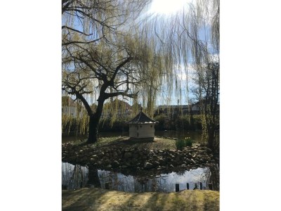 Holiday apartment Boller - Environment photo 32