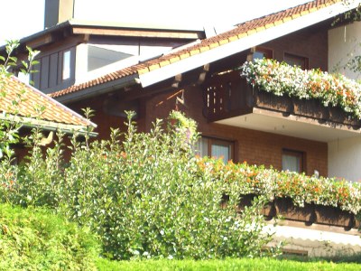 Holiday apartment Baldauf  "Am Dummelsmoos" - Outdoor photo 2