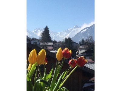 Holiday apartment Baldauf  "Am Dummelsmoos" - Outdoor photo 3