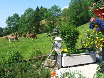 Holiday apartment Baldauf  "Am Dummelsmoos" - Outdoor photo 4