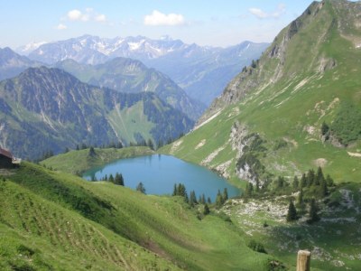 Holiday apartment Baldauf  "Am Dummelsmoos" - Environment photo 17